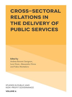 cover image of Studies in Public and Non-Profit Governance, Volume 6